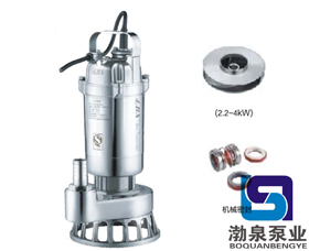 WQ(D)-S全不锈钢精密铸造污水物潜水电泵（丝口法兰）