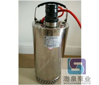 热水不锈钢潜水泵_QDNG6-24-1.1KW