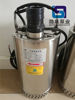 QN25-24-3KW_耐酸碱不锈钢化工潜水泵