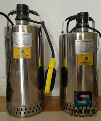自动不锈钢潜水泵_QDN6-24-1.1KW