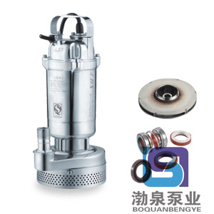 QX10-40-3S_不锈钢景观工程潜水泵